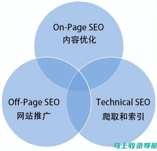 用鱼头SEO软件优化关键词：提升网站搜索可见性的关键